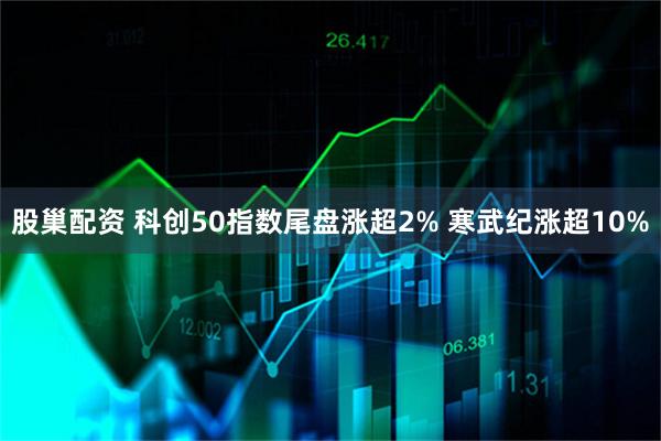 股巢配资 科创50指数尾盘涨超2% 寒武纪涨超10%