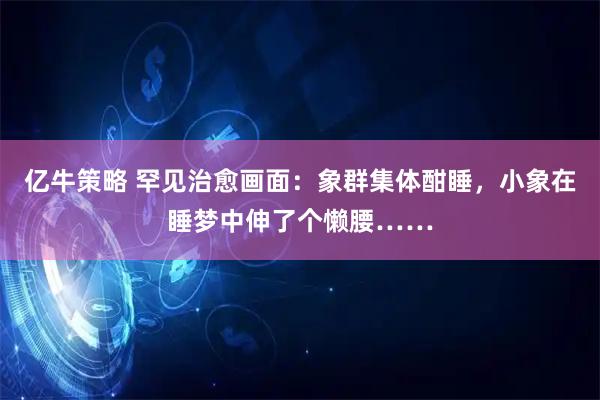 亿牛策略 罕见治愈画面：象群集体酣睡，小象在睡梦中伸了个懒腰……